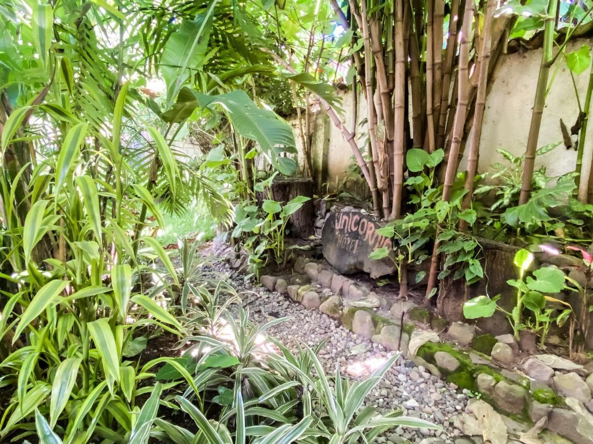 Unicorn Reborn - Peaceful Rentals San Marcos La Laguna Eksteriør bilde