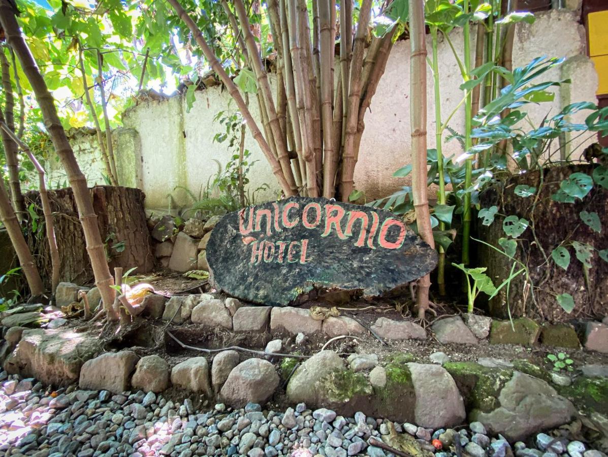 Unicorn Reborn - Peaceful Rentals San Marcos La Laguna Eksteriør bilde