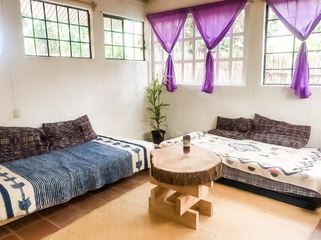 Unicorn Reborn - Peaceful Rentals San Marcos La Laguna Eksteriør bilde